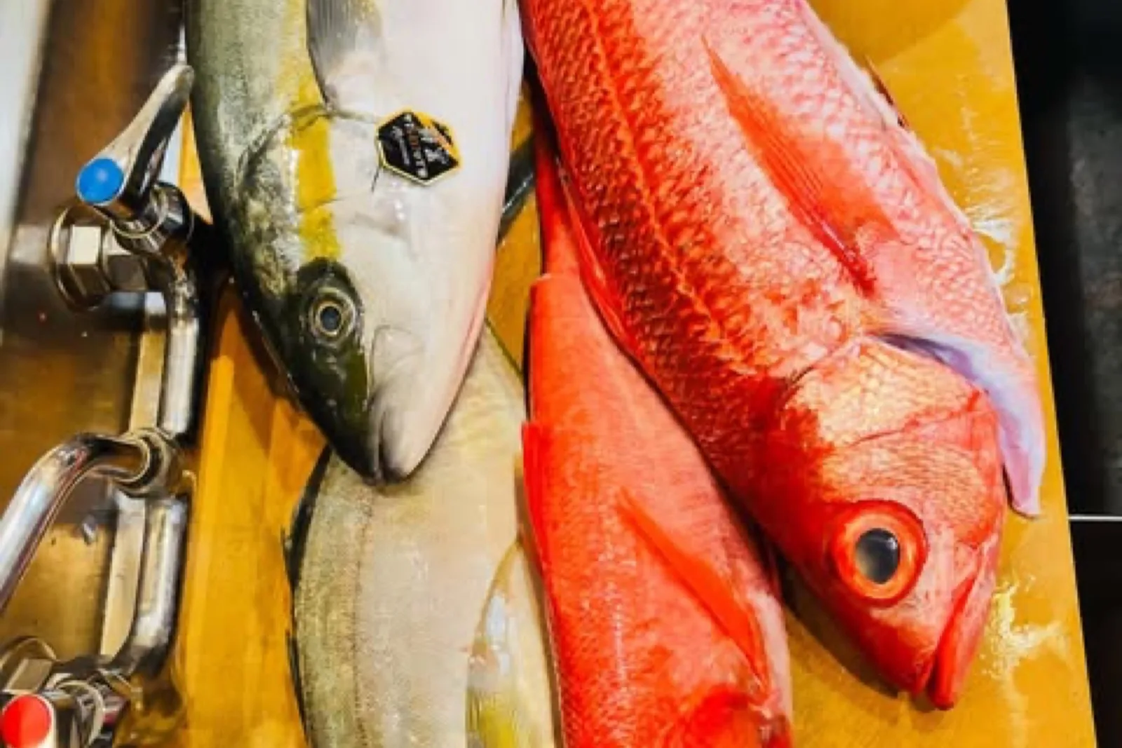 Fresh fish at Izakaya Seki